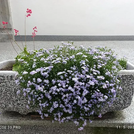 Relax Old Town * 塞拉耶佛